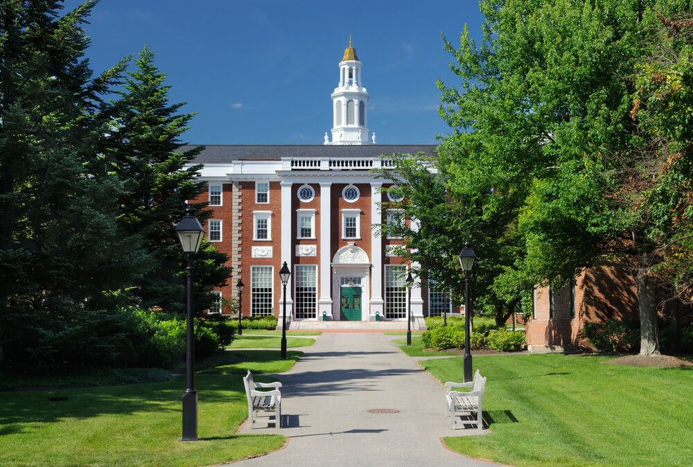 Harvard university