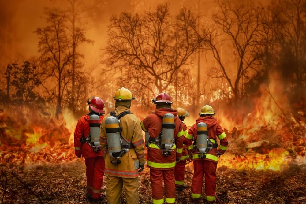 Firefighters