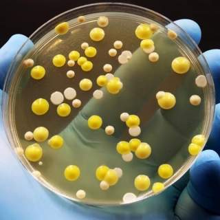 on drug resistance